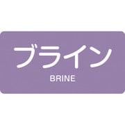 383612 [緑十字 配管識別ステッカー ブライン 30×60mm 10枚組 アルミ 英文字入]