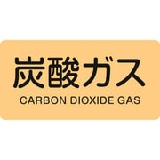 383710 [緑十字 配管識別ステッカー 炭酸ガス 30×60mm 10枚組 アルミ 英文字入]