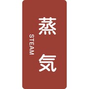 384401 [緑十字 配管識別ステッカー 蒸気 120×60mm 10枚組 アルミ 英文字入]