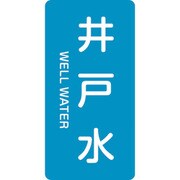 385217 [緑十字 配管識別ステッカー 井戸水 80×40mm 10枚組 アルミ 英文字入]