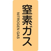 386708 [緑十字 配管識別ステッカー 窒素ガス 60×30mm 10枚組 アルミ 英文字入]