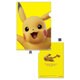 PMST1295 A4クリアファイル 劇場版ポケットモンスター ミュウツーの逆襲 EVOLUTION ピカチュウ [キャラクターグッズ]