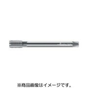 プロトティップ マシンタップ 8136310-M16X1.5
