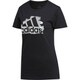 FYI37-ED8169-J/L [W MH オーロラ Tシャツ]