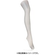 ストッキング アスティーグ 【輝】 光沢 L~LL 102 シャドーグレー FP5034