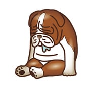 ぷにっPON ZooZooZooラバーマグネット ひまなの寝 イヌ [キャラクターグッズ]