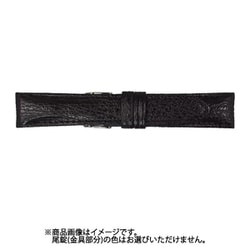 ZS-A 20mm-18mm シャーク ブラック [時計バンド]