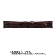 WRS-B 19mm-16mm クロコS ダークブラウン [時計バンド]