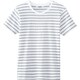 ボーダーＴシャツ ライトグレー AS8546 C9 M