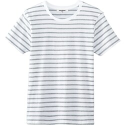 ボーダーＴシャツ ライトグレー AS8546 C9 M