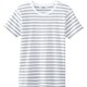 ボーダーＴシャツ ライトグレー AS8546 C9 L