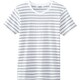 ボーダーＴシャツ ライトグレー AS8546 C9 LL