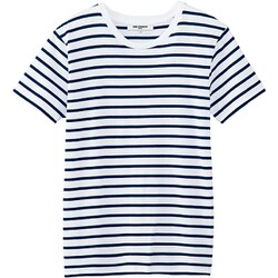 ボーダーＴシャツ ネイビー AS8546 C-5 SS