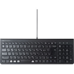 キーボード 有線 USB A USBキーボード テンキーあり パンタグラフ 日本語配列（JIS） 薄型 スリム コンパクト ブラック SKB-SL31BK