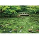 05-1021 踊る色彩モネの池（岐阜県） [ジグソーパズル 500ピース（完成サイズ:38×53cm）]