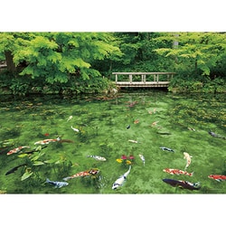 05-1021 踊る色彩モネの池（岐阜県） [ジグソーパズル 500ピース（完成サイズ:38×53cm）]
