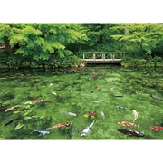 05-1021 踊る色彩モネの池（岐阜県） [ジグソーパズル 500ピース（完成サイズ:38×53cm）]