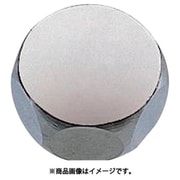 B41A-24-20 [SANEI キャップナット 1個]