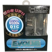 D-1603 [EVOLVA HID Burner D1C 6000k]
