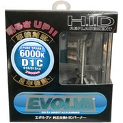 D-1604 [EVOLVA HID Burner D1C 6500k]