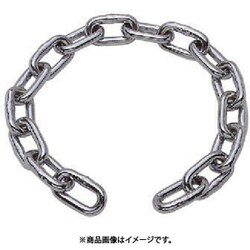 D-102 [水本 ステンレス スーパーデフチェーン 全長1000mm 1個]