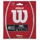 WILSON NATURAL 16 (ウイルソン ナチュラル 16) [硬式テニス ストリング ガット]