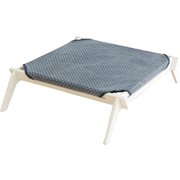 キャットラウンジ ブルードット