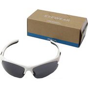 DRIBS 2.0 A8468410ALPINA ホワイト [スポーツサングラス]