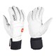 Palm Comp VPD 2.0 Glove 30011 White Sサイズ [スキー グローブ]