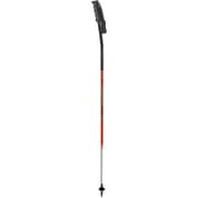 30222 one113RC-GS-R 113cm 2本セット [スキーストック レーシング]