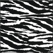 マルチレンズクリーナー A-55 ZEBRA [スキー パーツ]