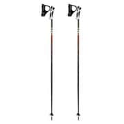 ALPE S 6323646105 ブラック/レッド 105cm 2本セット [スキー ストック 一般]