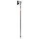 ALPE S 6323646113 ブラック/レッド 113cm 2本セット [スキー ストック 一般]