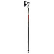 ALPE S 6323646110 ブラック/レッド 110cm 2本セット [スキー ストック 一般]