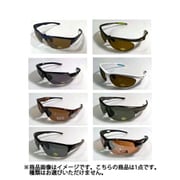 Sunglass 3800 サングラス 3800 [スポーツサングラス]