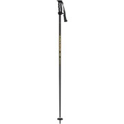 イーグル 18P-32 BK 100cm 2本セット [スキー ストック]