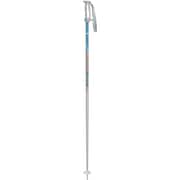 イーグル 18P-35 SKY 105cm 2本セット [スキー ストック]