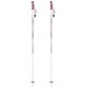 Wライン AL215-00 110cm 2本セット [スキー ストック レディース]
