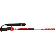 POLE DEMO MODEL 30249F LC/RE 2本セット [スキー ストック 一般]