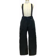 LIZARD PANT M ISG 1273260 WHALES GREY Mサイズ [スキーウェア パンツ メンズ]