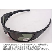C6sog2750 C6 サングラス 2750 [スポーツサングラス]