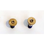 K2インサートスクリューパック20mm K2insert screw [バックカントリー ビンディング パーツ]