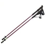 113416 BD100-11518 フォールダー FREE115 100-115 BD [トレッキングステッキ]