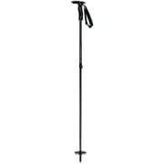 Fast BC Pro 18S-28BK BK 100-135cm [バックカントリー ストック]