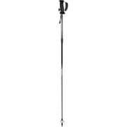 LC-FP/SIV 30260 Mサイズ（100-123cm） 2本セット [スキー ストック 一般]