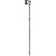 PASSION VARIO S 6403655 ブラック/ベリ- 95-120cm 2本セット [スキー ストック 一般]