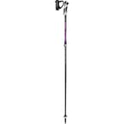 PASSION VARIO S 6403655 ブラック/ベリ- 95-120cm 2本セット [スキー ストック 一般]
