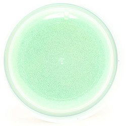 GIGA SPEED SOLID WET(10g) | 株式会社ガリウム | GALLIUM CO