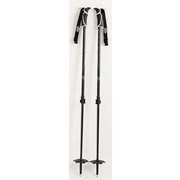 SCEPTER CARBON C1705002010 BLACK [バックカントリー ストック]