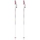 Wライン AL215-00 100cm 2本セット [スキー ストック レディース]